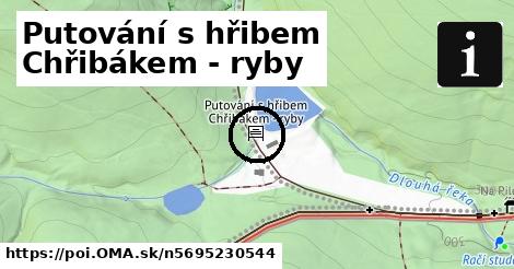 Putování s hřibem Chřibákem - ryby