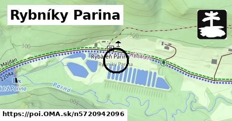 Rybníky Parina