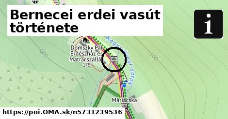 Bernecei erdei vasút története