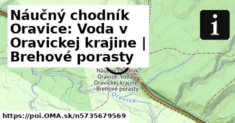 Náučný chodník Oravice: Voda v Oravickej krajine | Brehové porasty