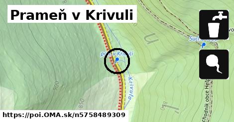 Prameň v Krivuli