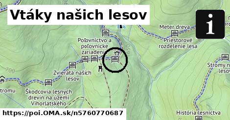 Vtáky našich lesov