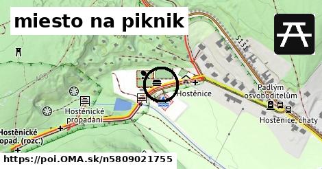 miesto na piknik