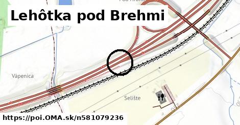 Lehôtka pod Brehmi