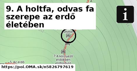 9. A holtfa, odvas fa szerepe az erdő életében