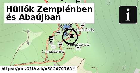 Hüllők Zemplénben és Abaújban