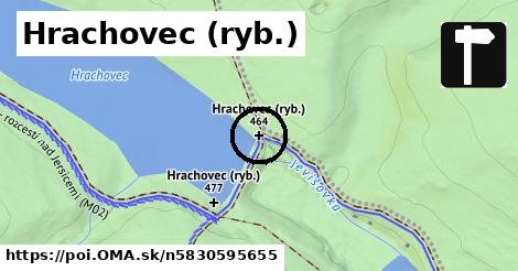 Hrachovec (ryb.)