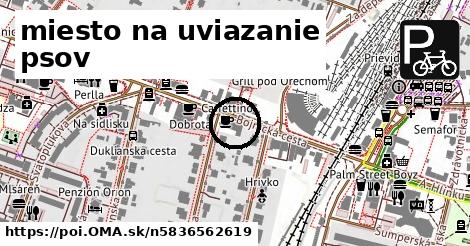 miesto na uviazanie psov