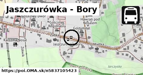 Jaszczurówka - Bory