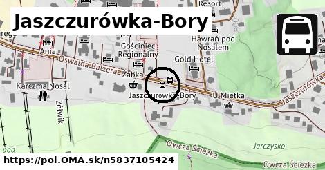 Jaszczurówka-Bory