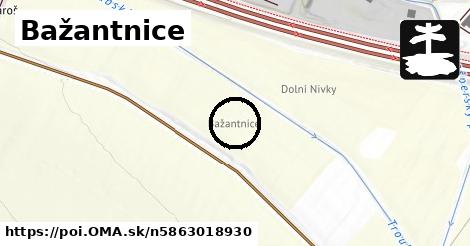 Bažantnice