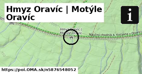 Hmyz Oravíc | Motýle Oravíc