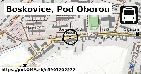 Boskovice, Pod Oborou