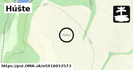 Húšte