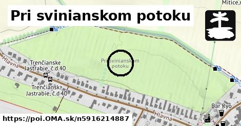 Pri svinianskom potoku