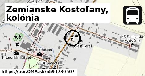 Zemianske Kostoľany, kolónia