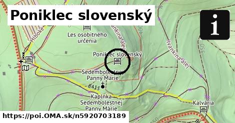 Poniklec slovenský