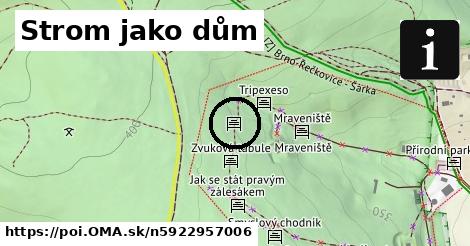 Strom jako dům