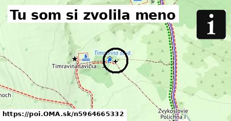 Tu som si zvolila meno