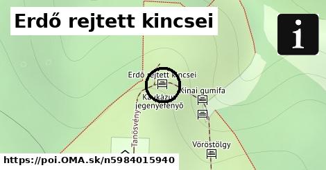 Erdő rejtett kincsei