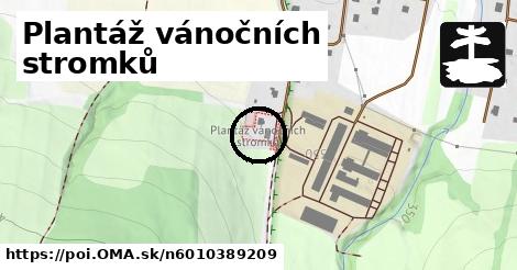 Plantáž vánočních stromků