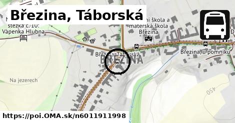 Březina, Táborská