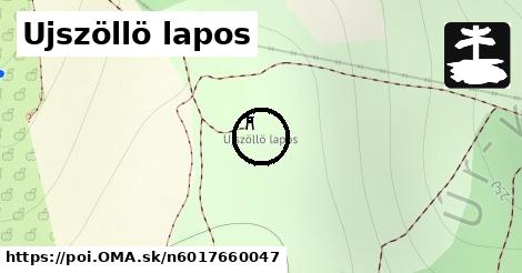 Ujszöllö lapos