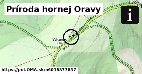 Príroda hornej Oravy