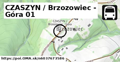 CZASZYN / Brzozowiec - Góra 01