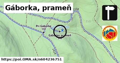 Gáborka, prameň