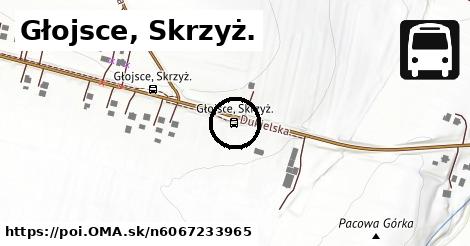 Głojsce, Skrzyż.