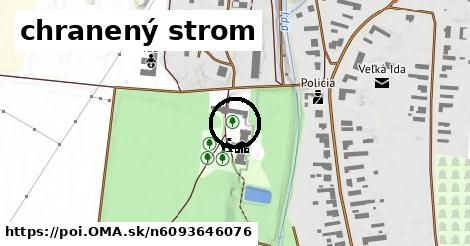 chranený strom