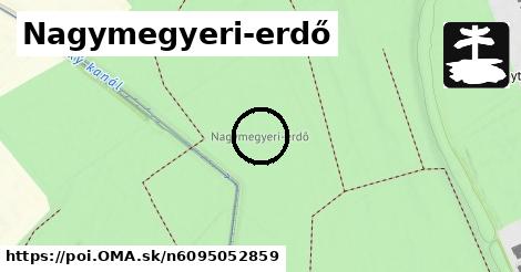 Nagymegyeri-erdő