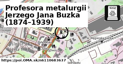 Profesora metalurgii Jerzego Jana Buzka (1874–1939)