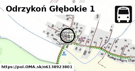 Odrzykoń Głębokie 1