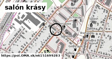 salón krásy