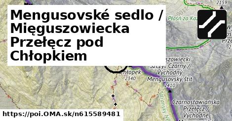 Mengusovské sedlo / Mięguszowiecka Przełęcz pod Chłopkiem
