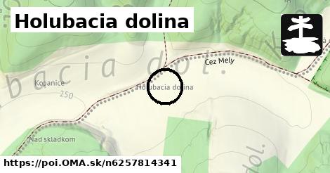 Holubacia dolina