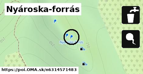 Nyároska-forrás