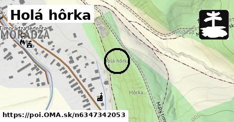 Holá hôrka