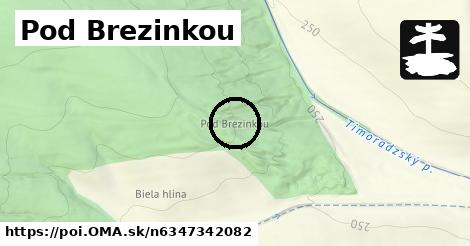 Pod Brezinkou