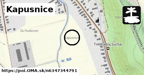 Kapusnice