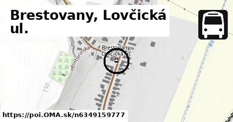 Brestovany, Lovčická ul.