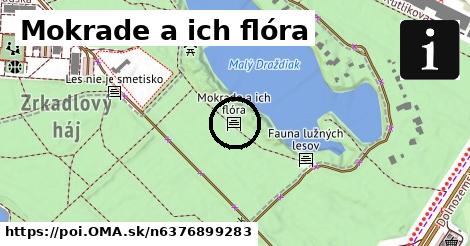 Mokrade a ich flóra