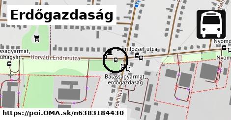 Erdőgazdaság