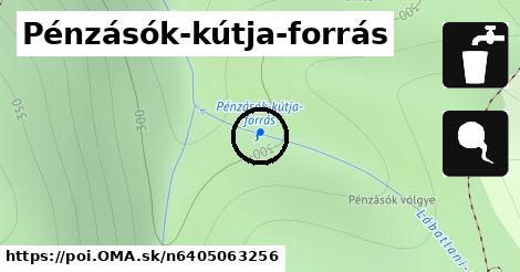 Pénzásók-kútja-forrás