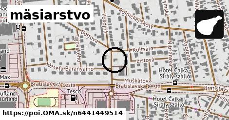 mäsiarstvo