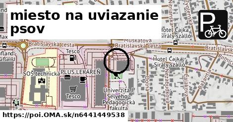 miesto na uviazanie psov