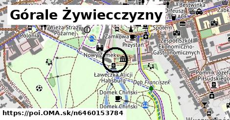 Górale Żywiecczyzny