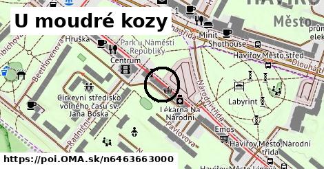 U moudré kozy